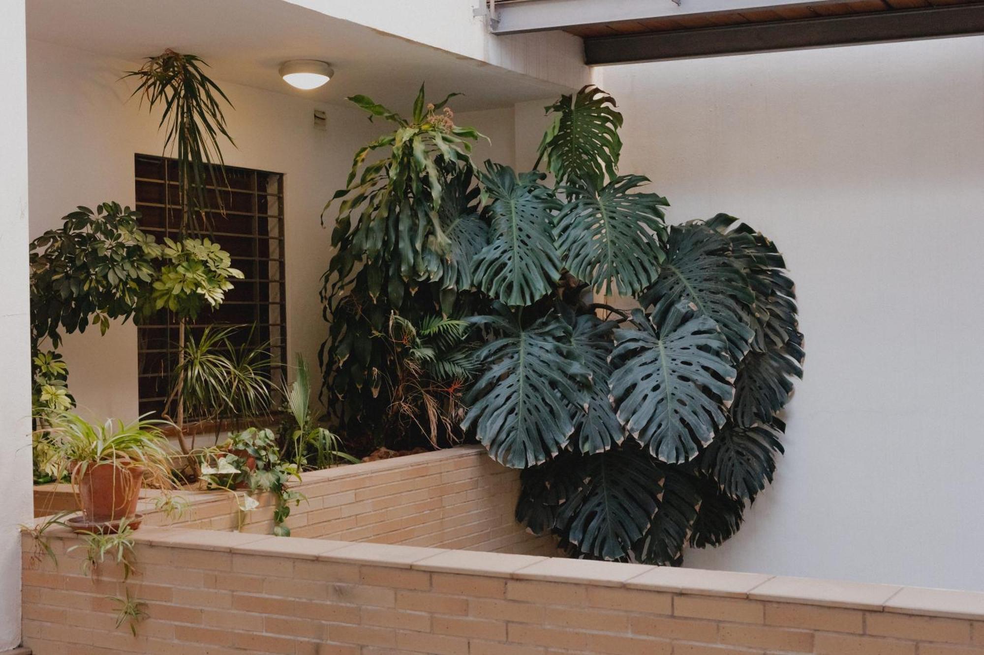 Suite Zamorano Málaga Extérieur photo
